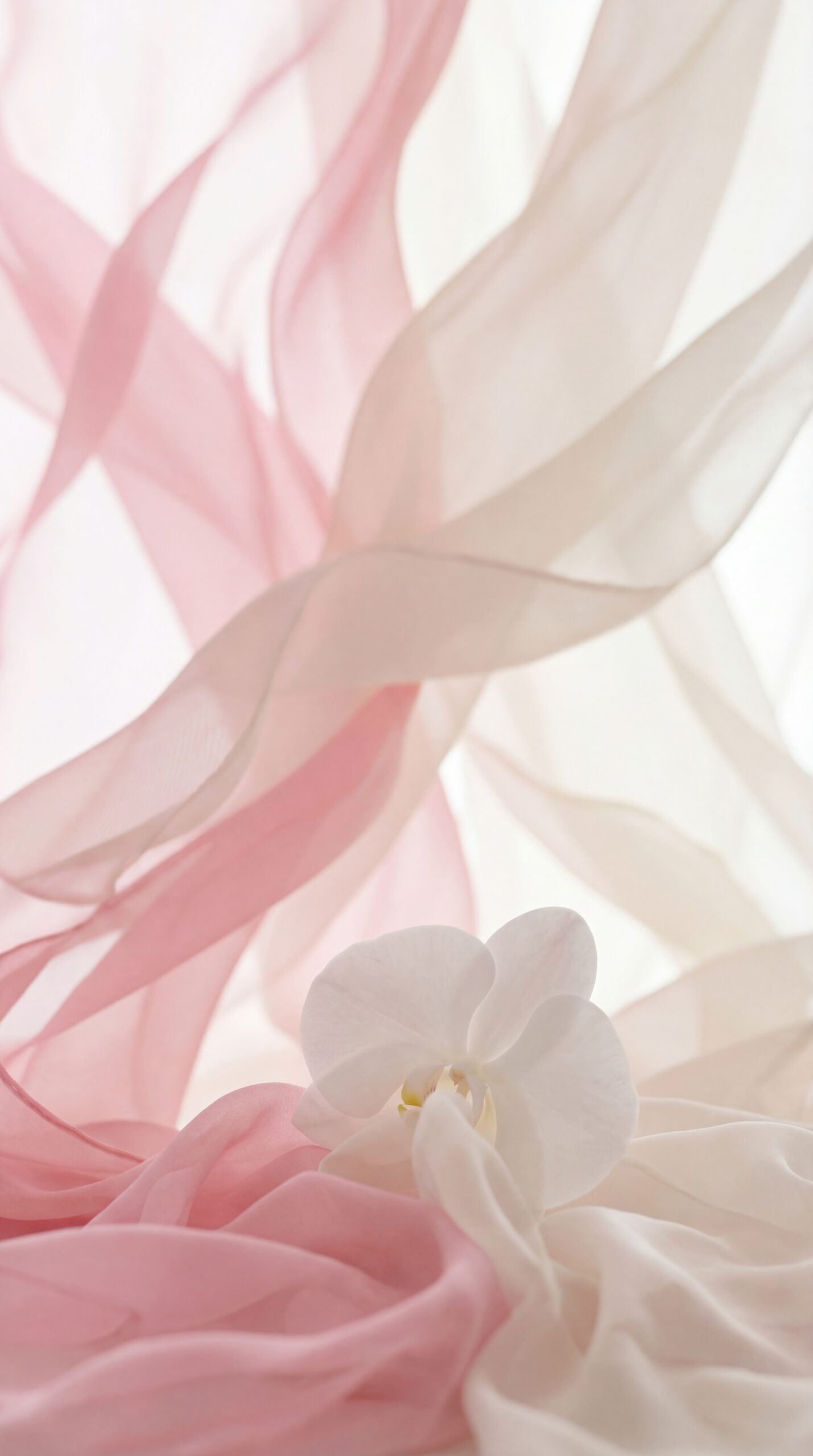 Mahremiyet, Güven ve İyileşme Süreci